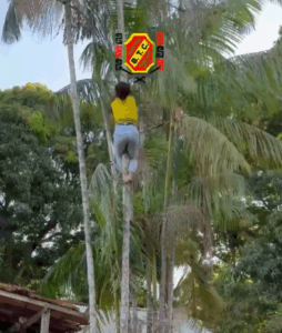 Educação que inspira, sonhos que transformam!