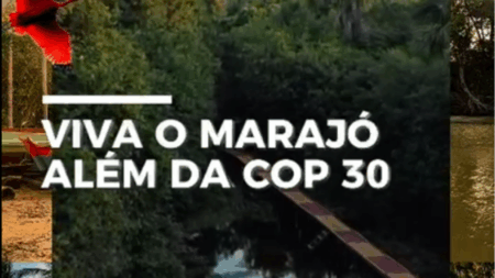 Viva o Marajó além da COP 30