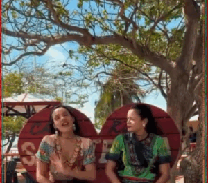 4ª Feira de Educação Escolar Quilombola