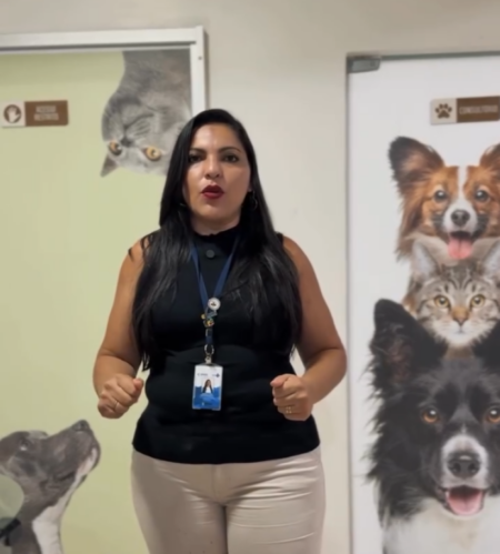 Cuidado e Compromisso com a Saúde Animal em Salvaterra