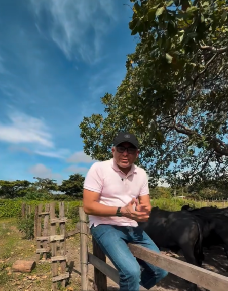 Conscientização: responsabilidade com animais é dever de todos